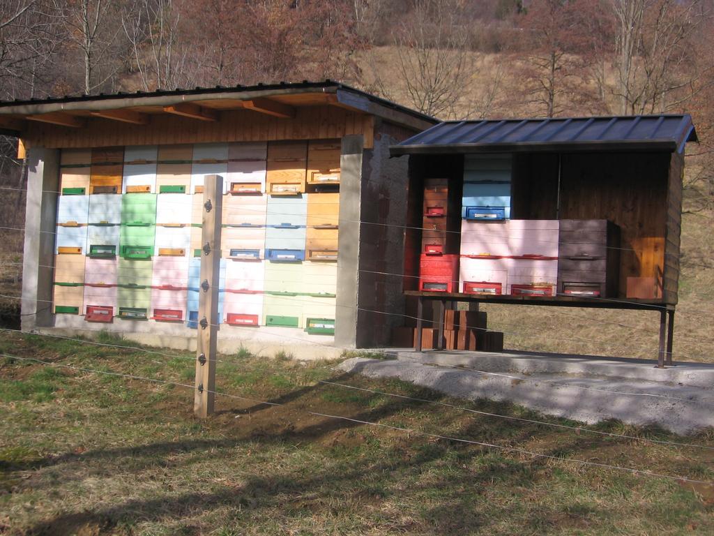 Guest House Roze Ilirska Bistrica Εξωτερικό φωτογραφία